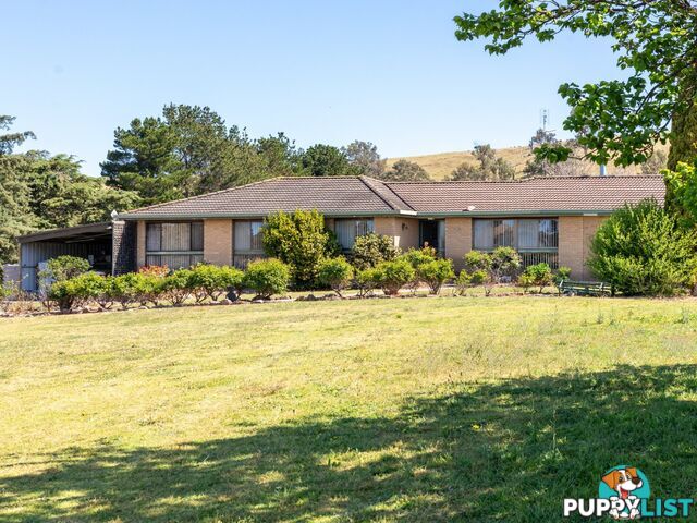 291 Coopers Gully Road BEGA NSW 2550