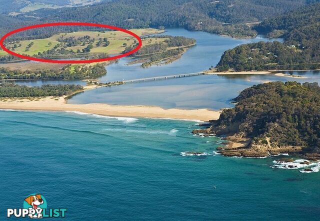 Lot 24 "Thompsons River Estate" TATHRA NSW 2550