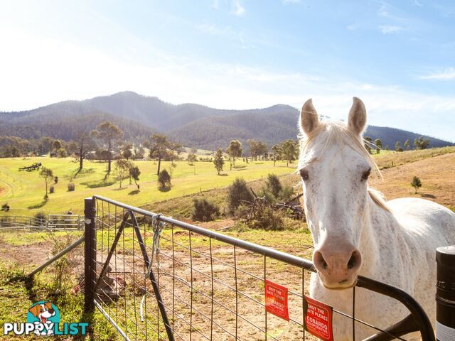 334 Yowrie Road COBARGO NSW 2550