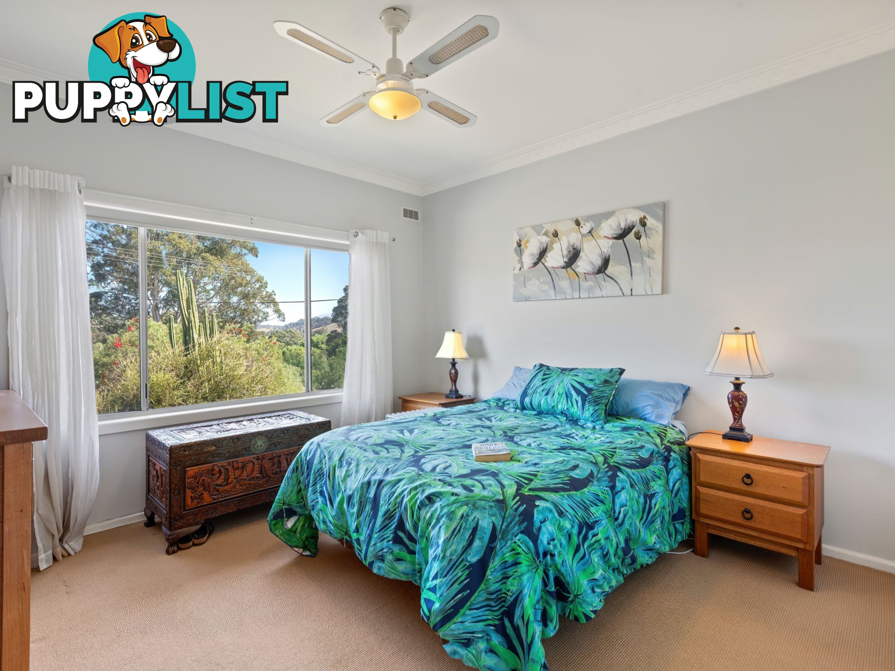 43 Fairview Street BEGA NSW 2550