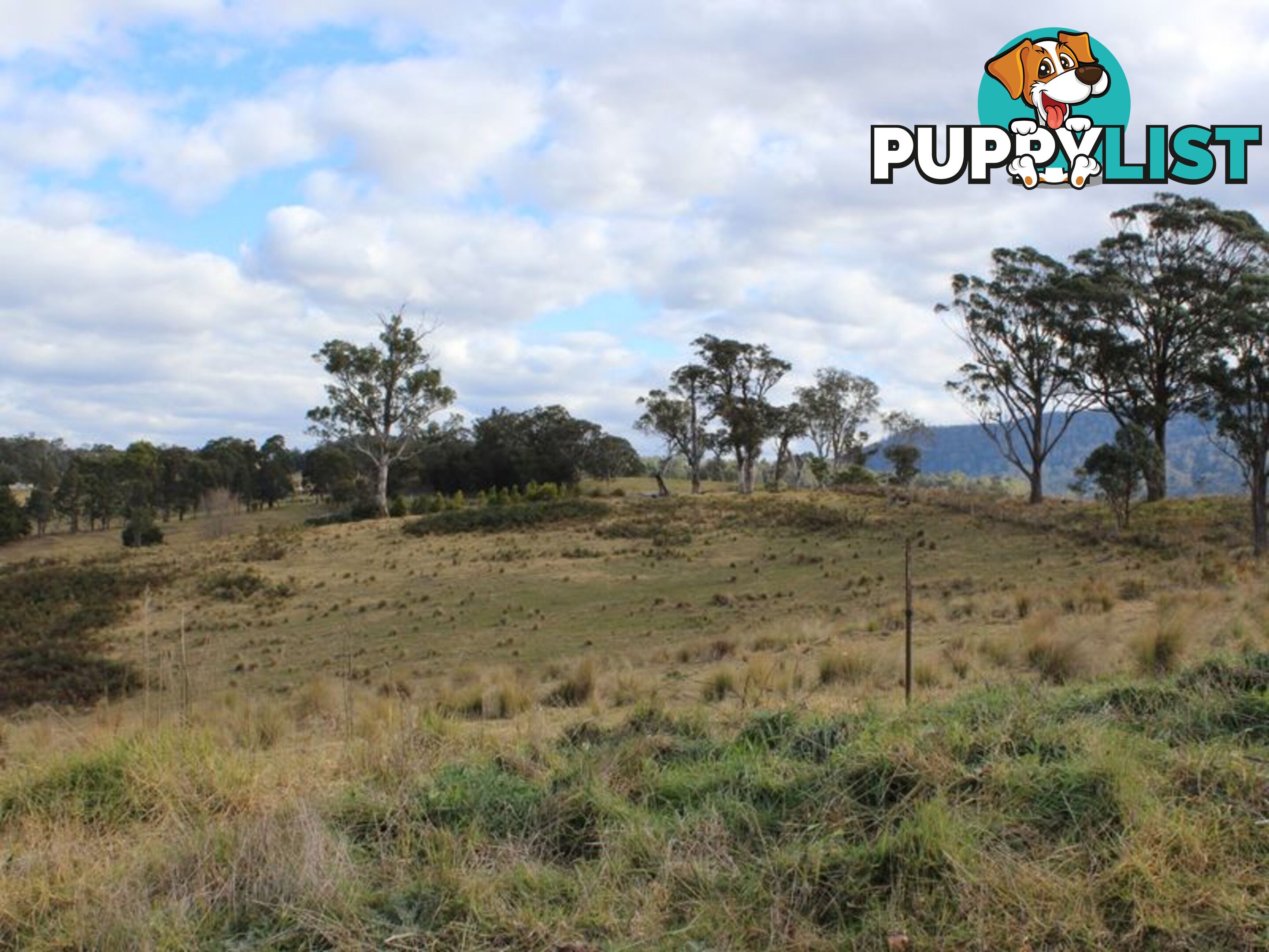 Lot 12 Princes Highway COBARGO NSW 2550