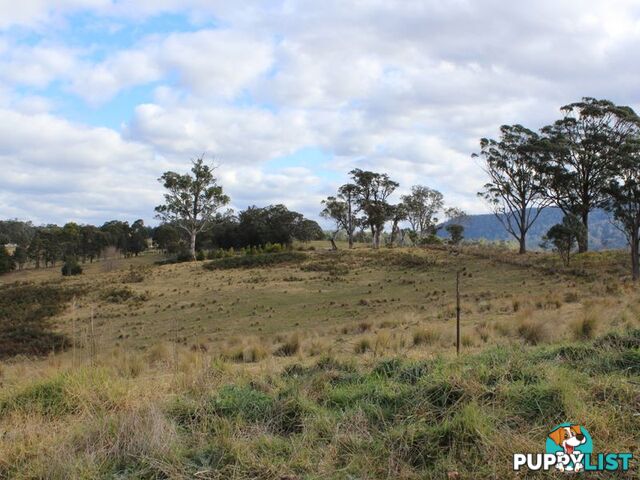 Lot 12 Princes Highway COBARGO NSW 2550