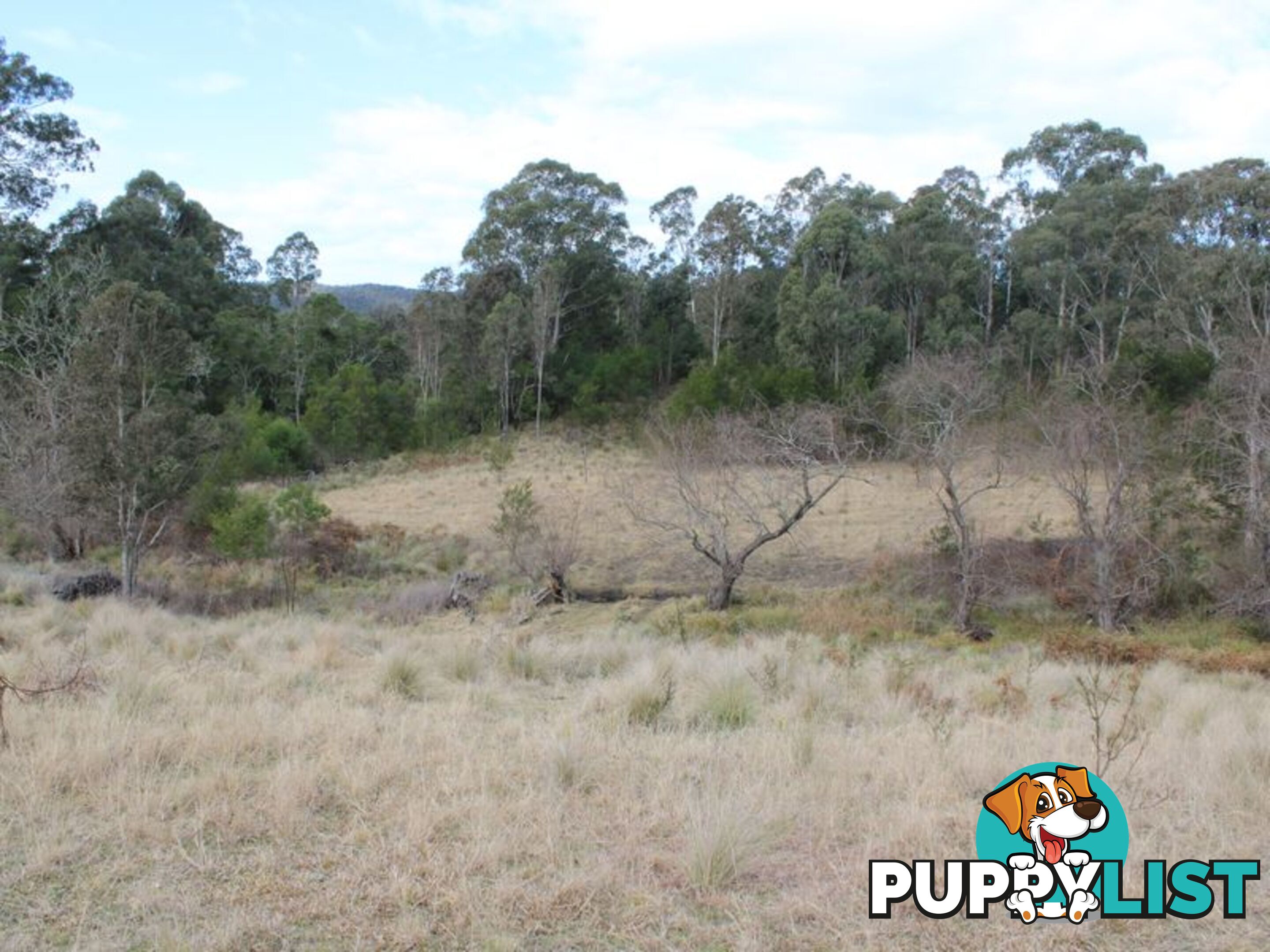 Lot 12 Princes Highway COBARGO NSW 2550