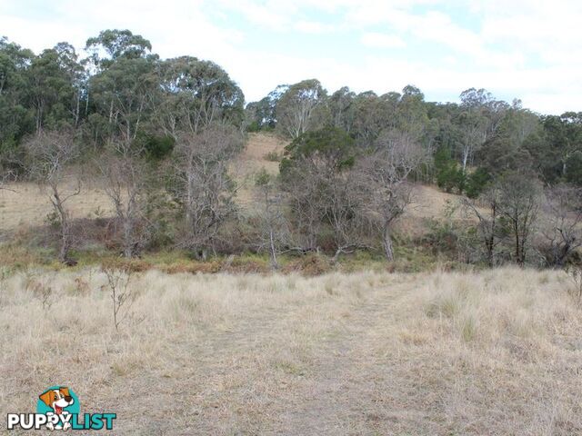 Lot 12 Princes Highway COBARGO NSW 2550