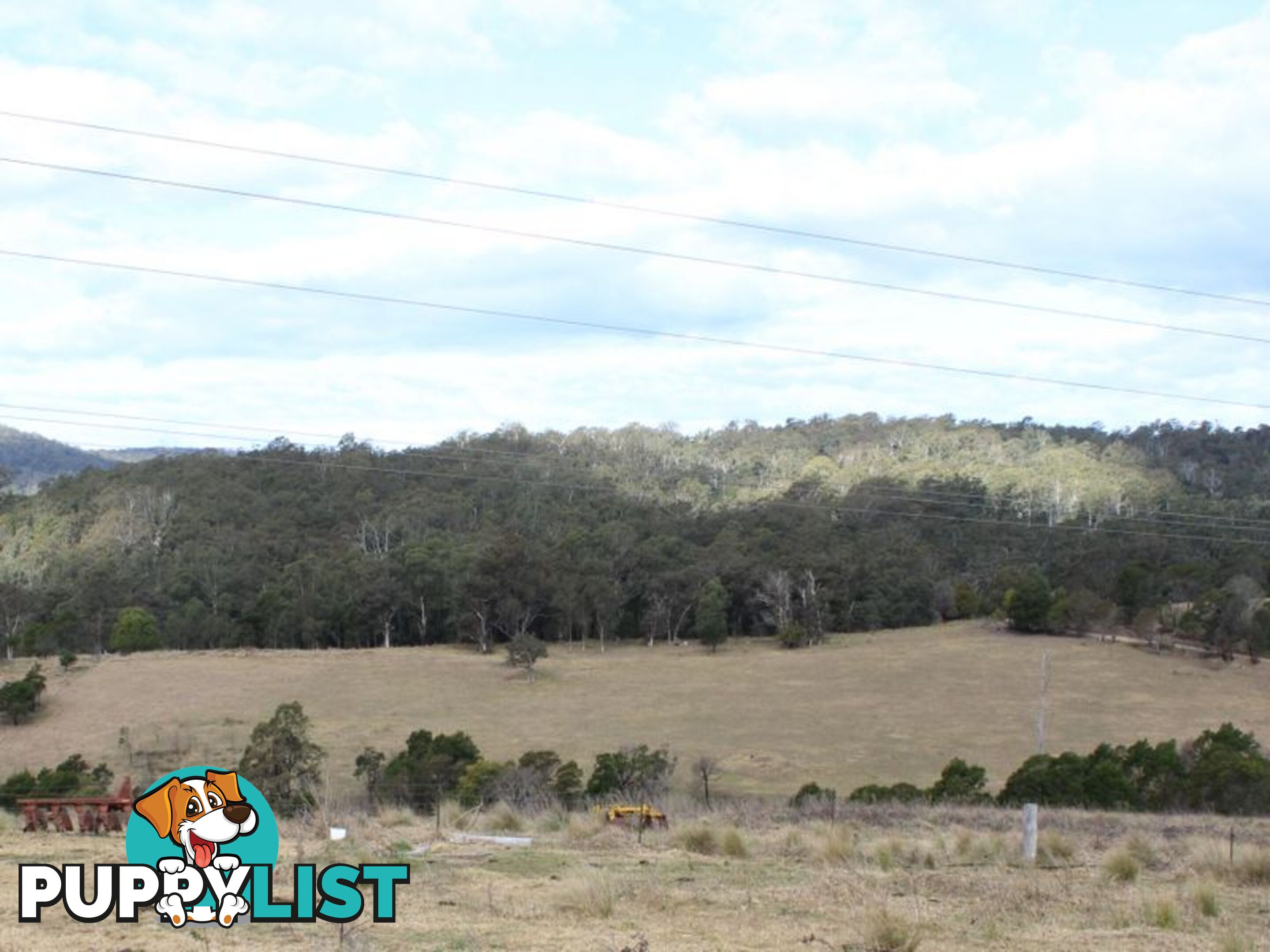 Lot 12 Princes Highway COBARGO NSW 2550