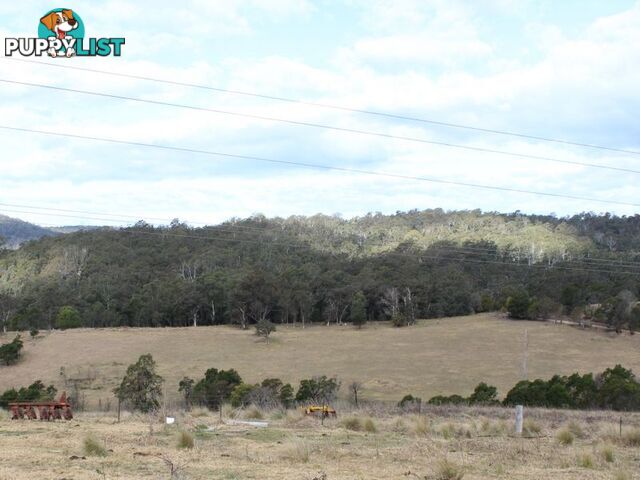 Lot 12 Princes Highway COBARGO NSW 2550