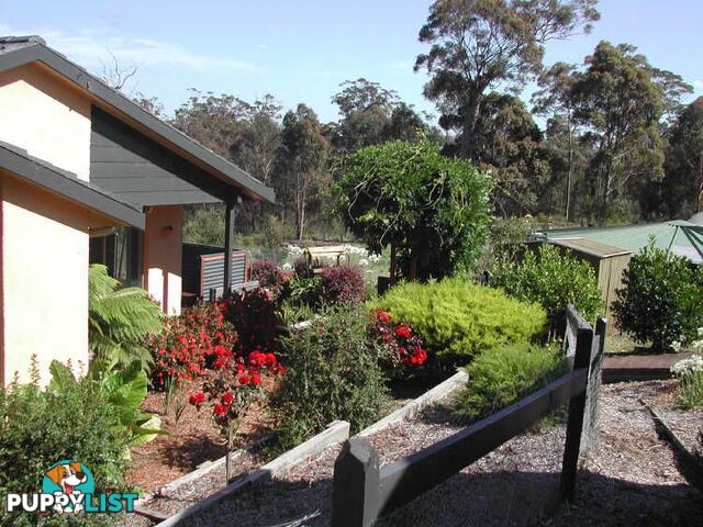 479 Sapphire Coast Drive MERIMBULA NSW 2548