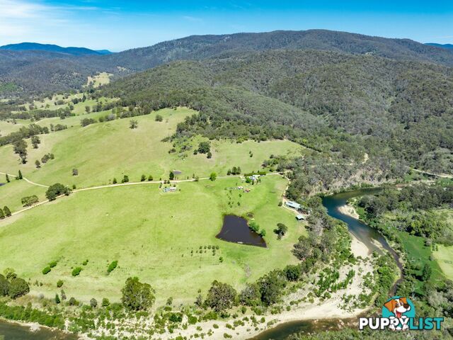 116 Big Jack Mountain Road BURRAGATE NSW 2550