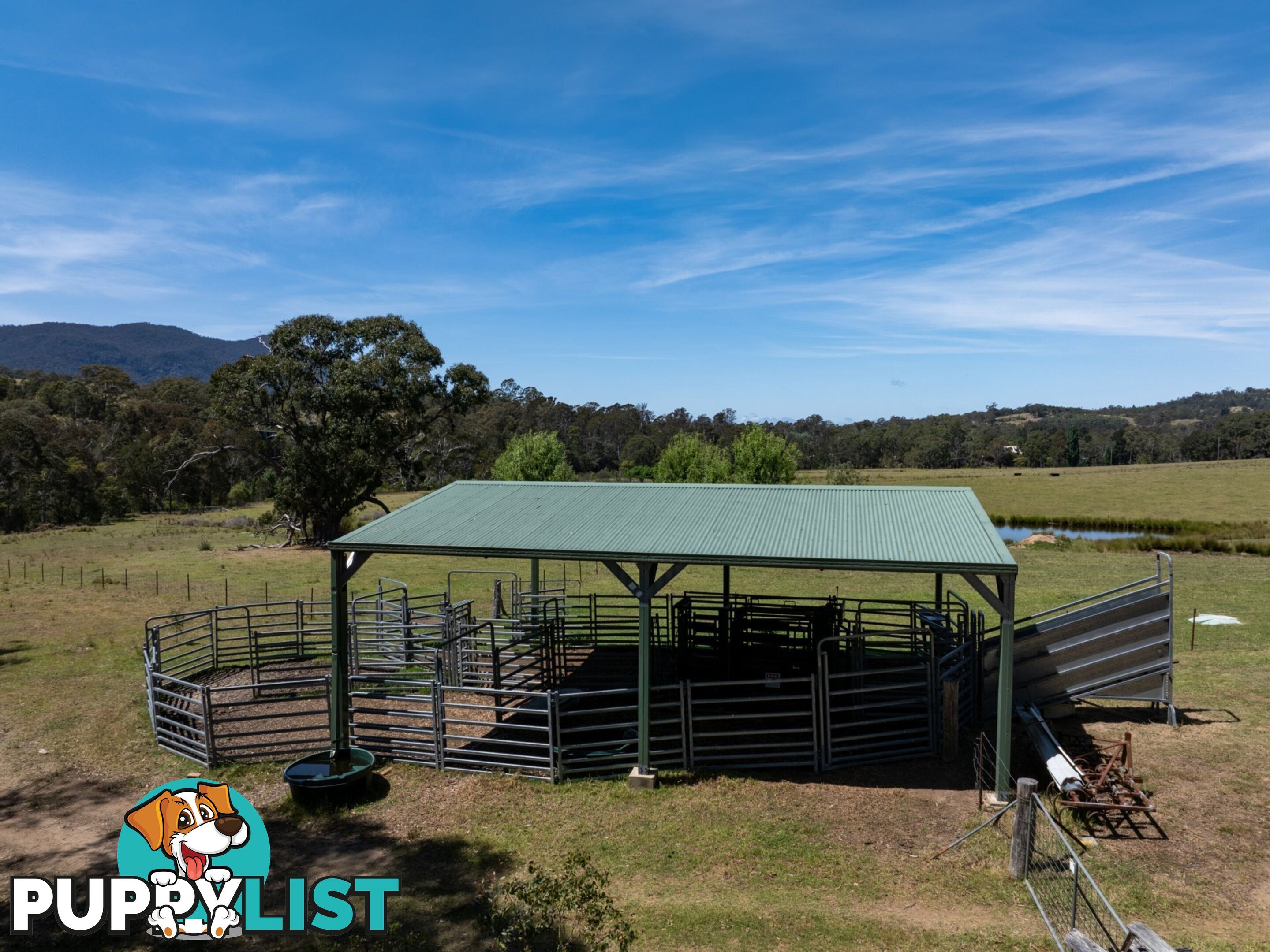 116 Big Jack Mountain Road BURRAGATE NSW 2550