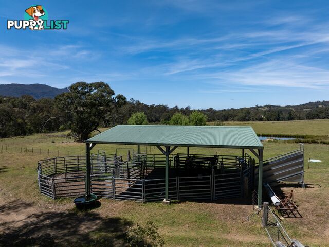 116 Big Jack Mountain Road BURRAGATE NSW 2550