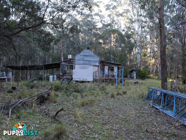 459 Devils Hole Road WYNDHAM NSW 2550