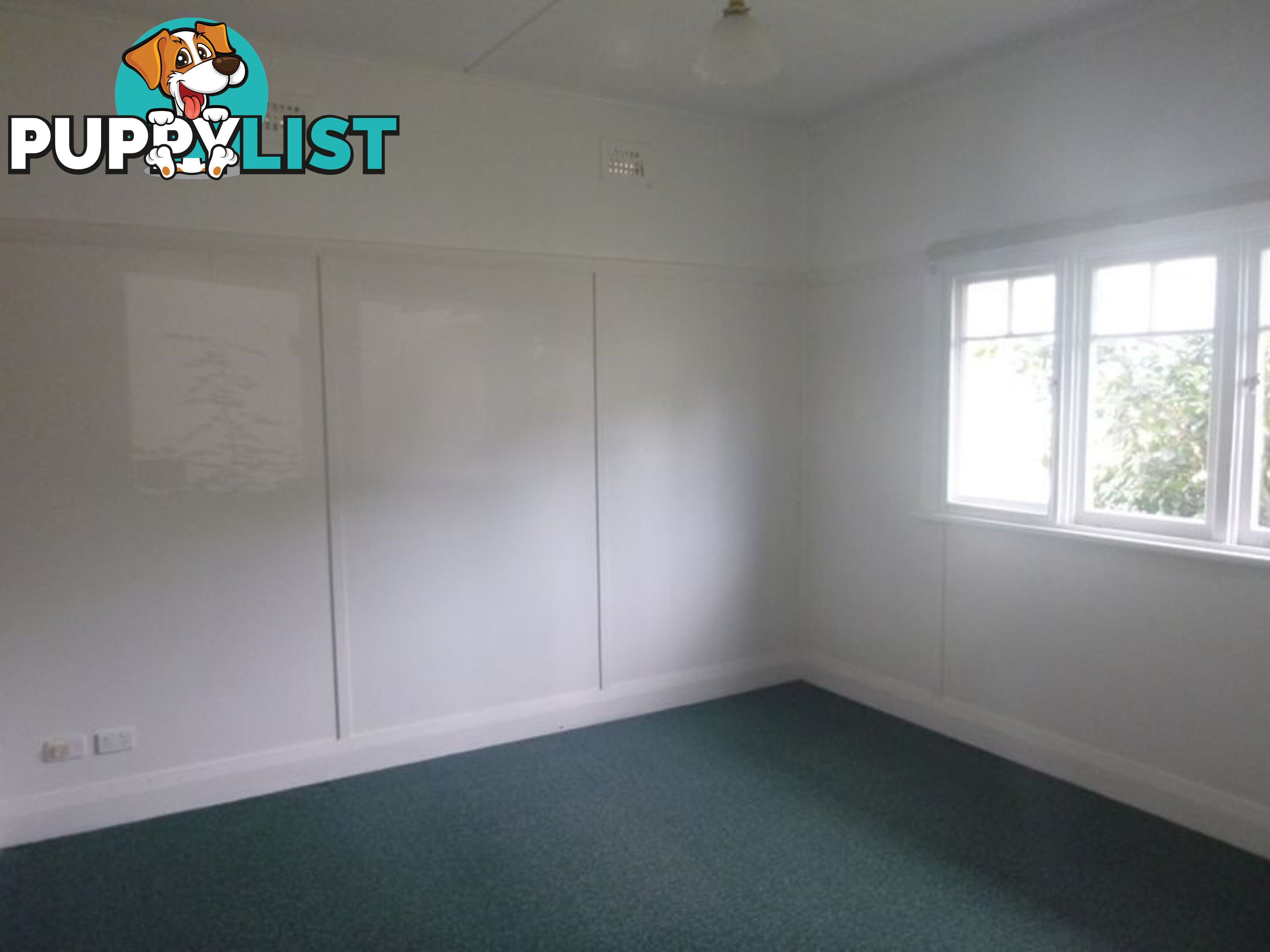 20 Union Street BEGA NSW 2550