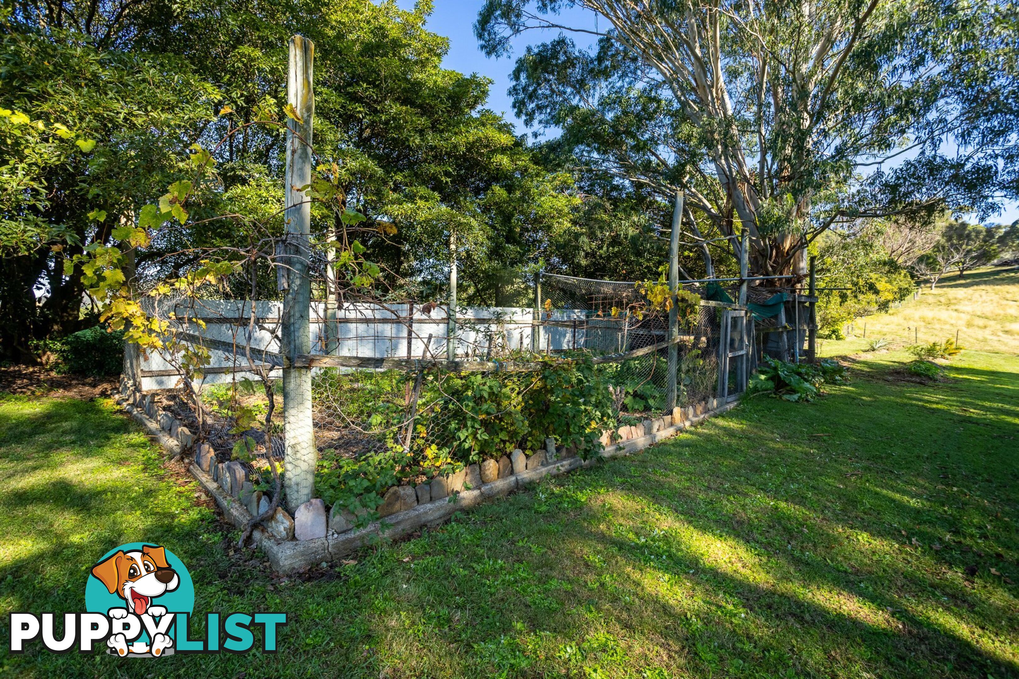 64 Narrawa Place BEGA NSW 2550