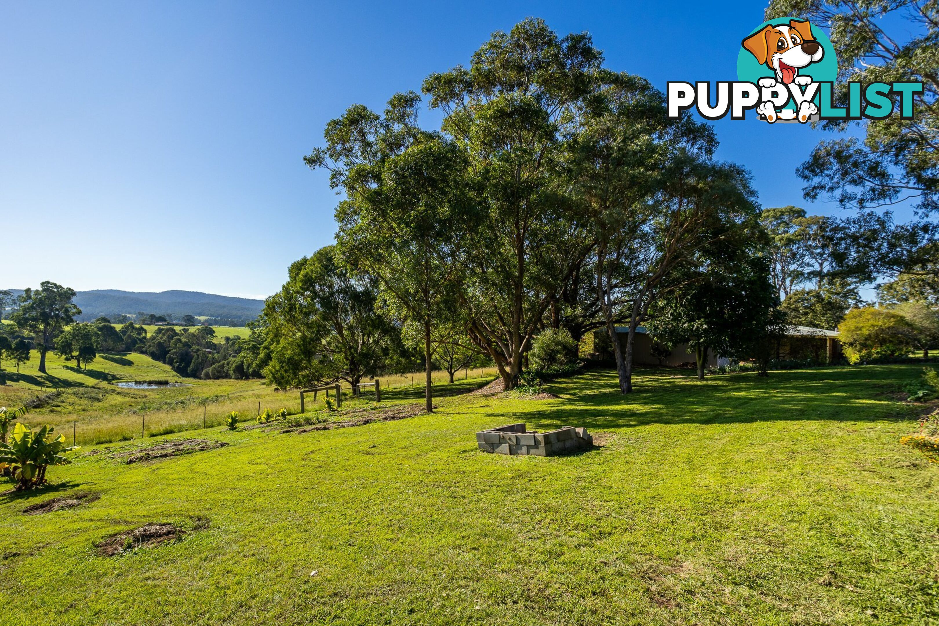 64 Narrawa Place BEGA NSW 2550