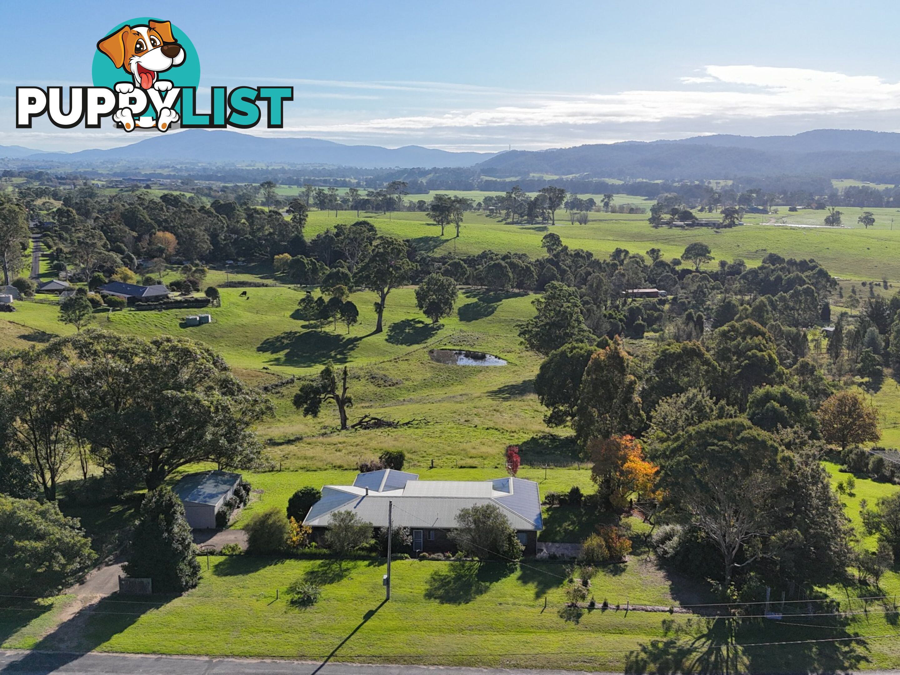 64 Narrawa Place BEGA NSW 2550