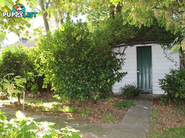 2a Union Street BEGA NSW 2550