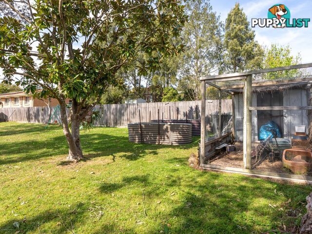 16 Clarke Street WOLUMLA NSW 2550