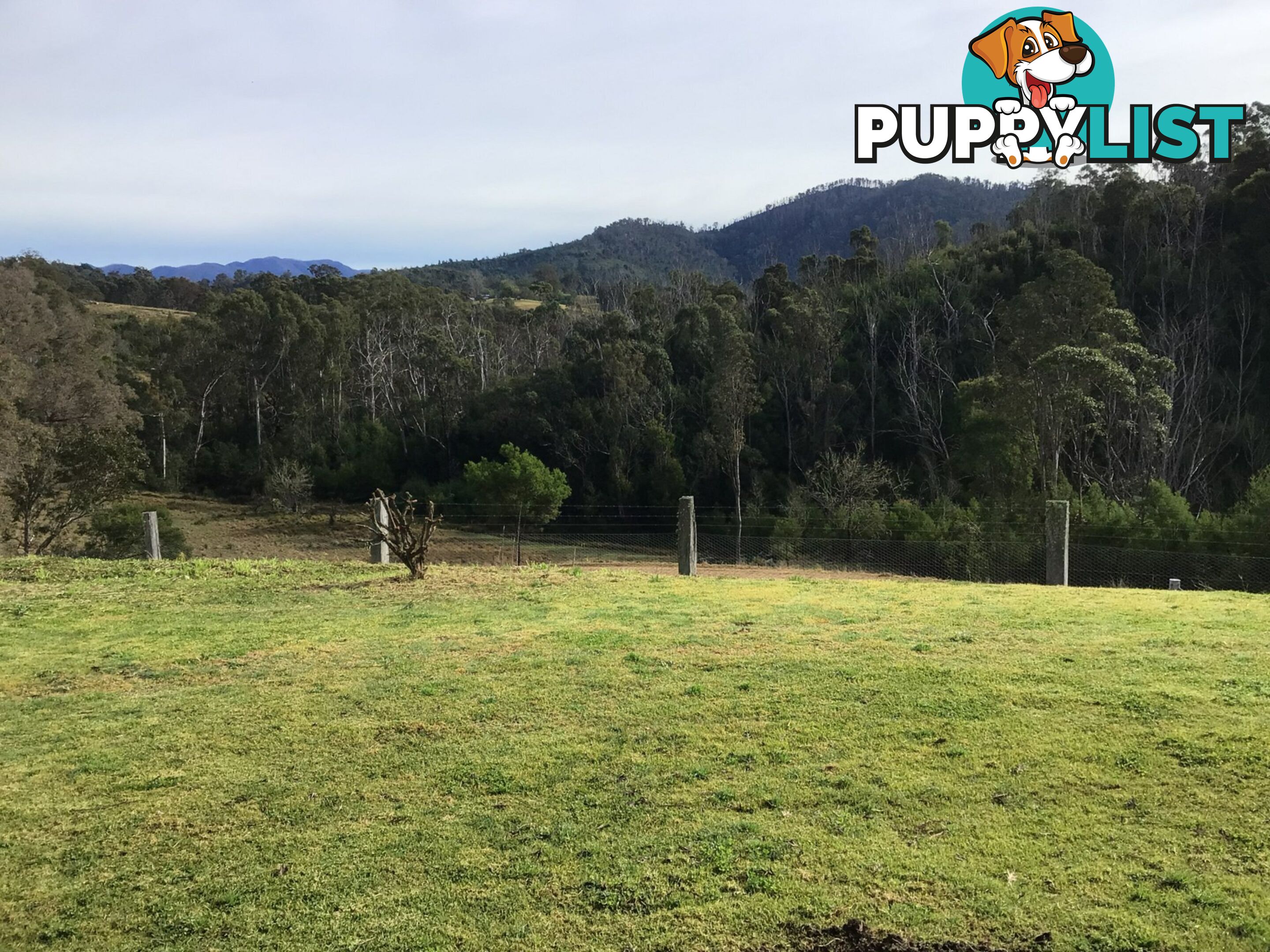 86A Waterloo Creek Road BROGO NSW 2550