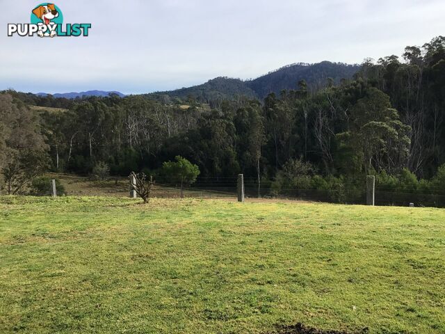 86A Waterloo Creek Road BROGO NSW 2550