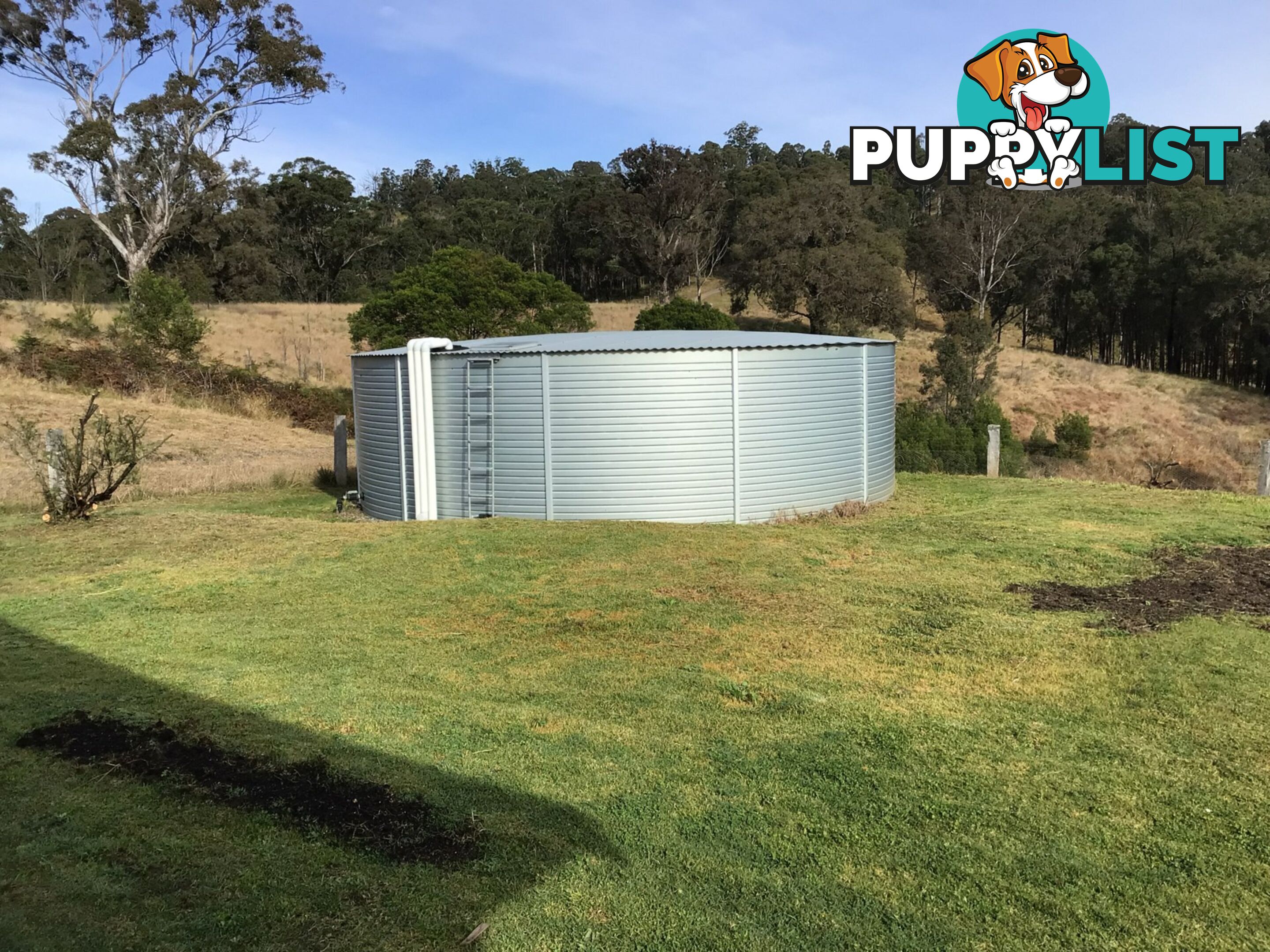 86A Waterloo Creek Road BROGO NSW 2550