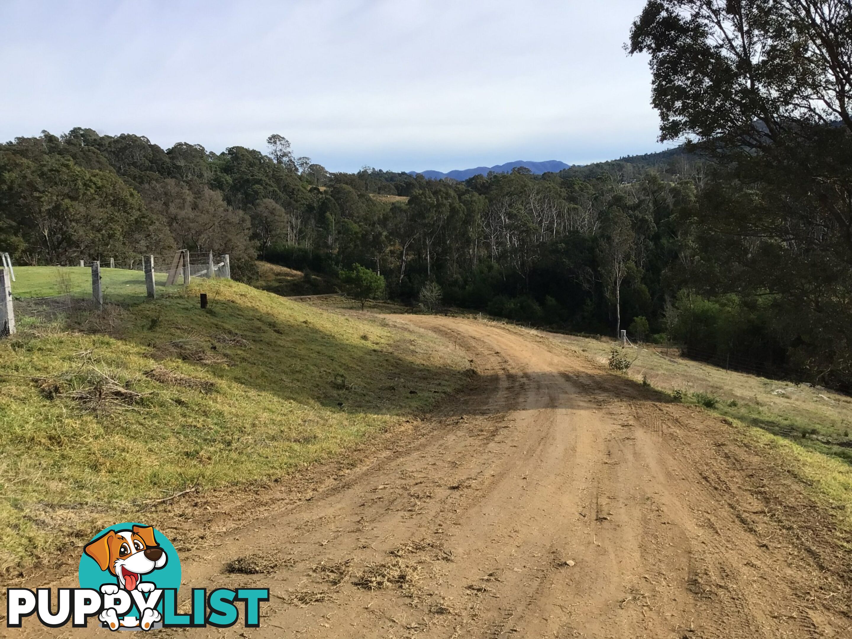 86A Waterloo Creek Road BROGO NSW 2550
