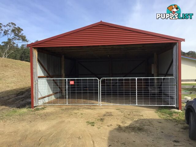 86A Waterloo Creek Road BROGO NSW 2550