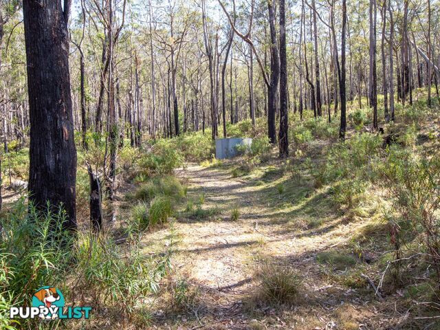 798 Yankees Gap Road BEMBOKA NSW 2550