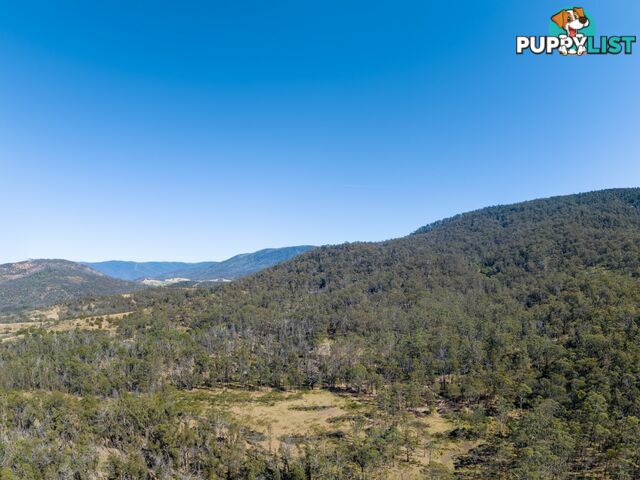 798 Yankees Gap Road BEMBOKA NSW 2550