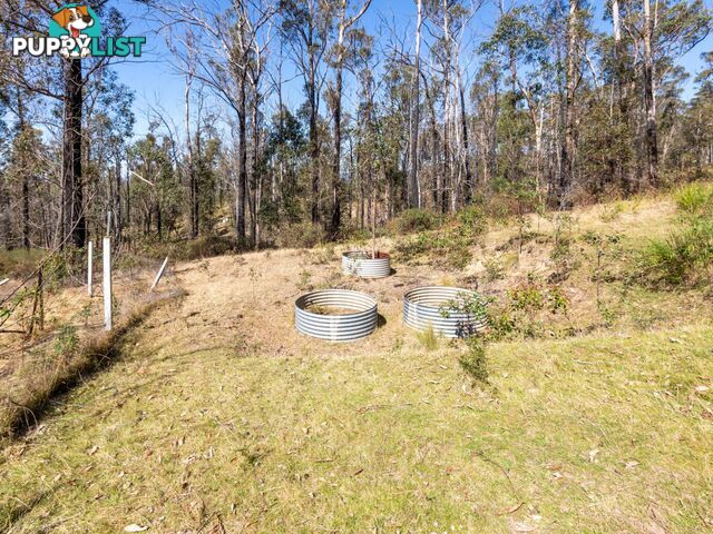 798 Yankees Gap Road BEMBOKA NSW 2550