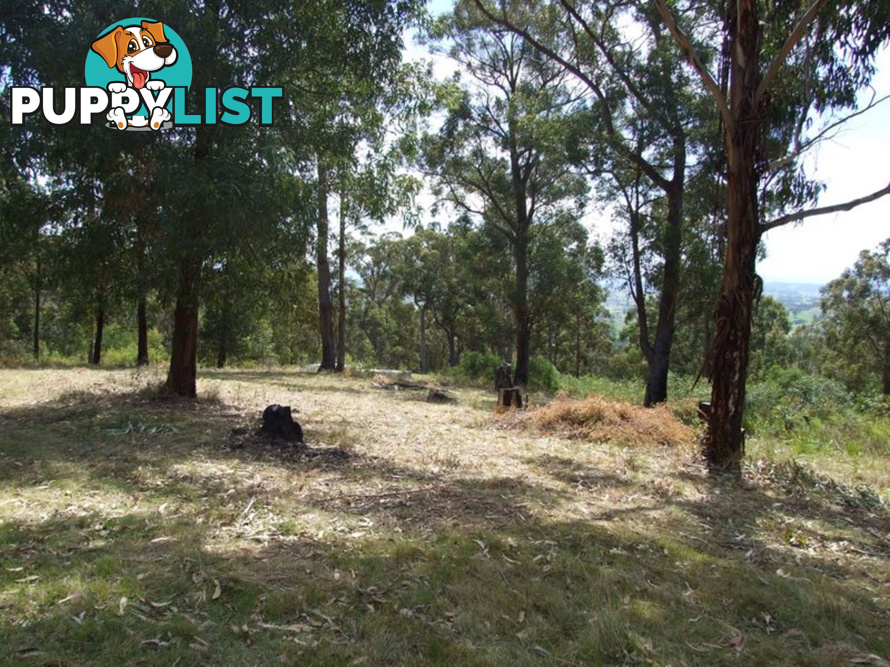 Lot 150 Dr George Mountain Road TARRAGANDA NSW 2550