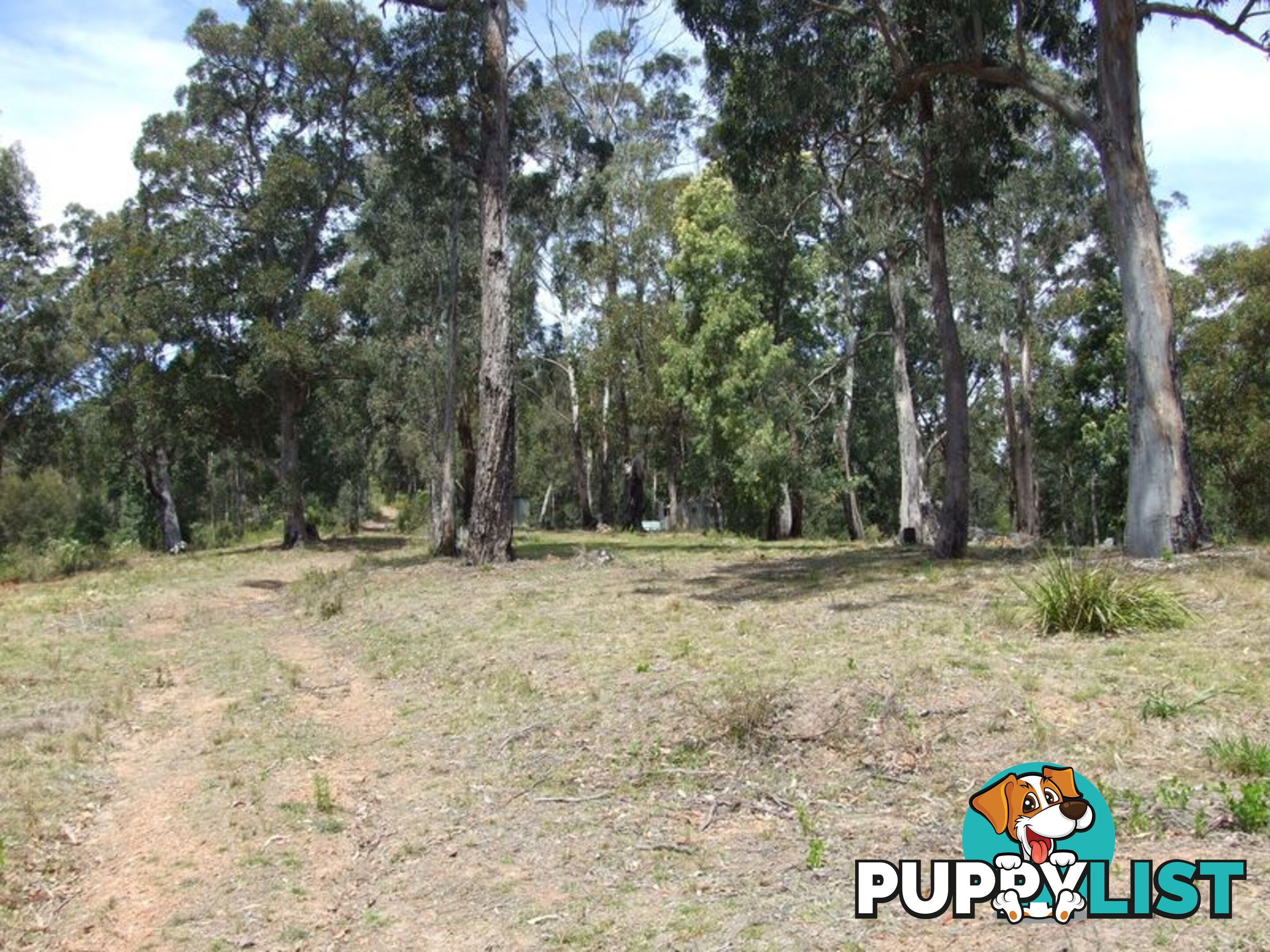 Lot 150 Dr George Mountain Road TARRAGANDA NSW 2550