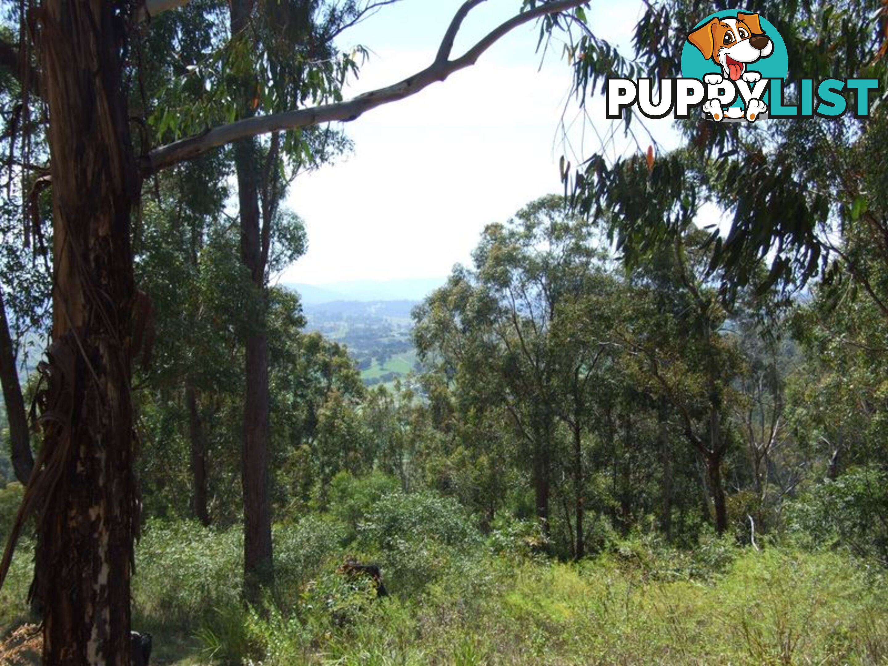 Lot 150 Dr George Mountain Road TARRAGANDA NSW 2550