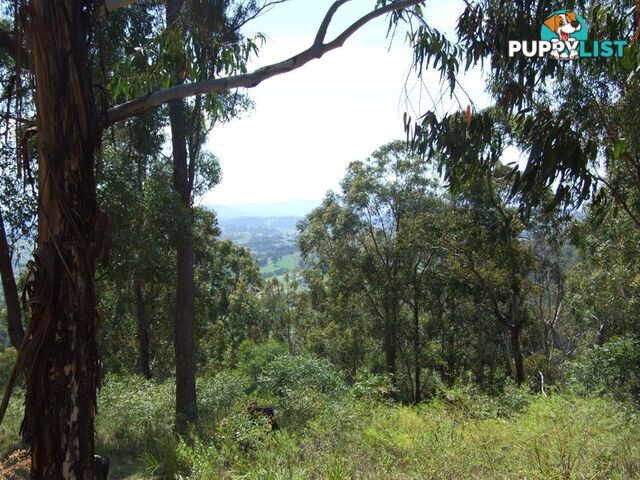 Lot 150 Dr George Mountain Road TARRAGANDA NSW 2550