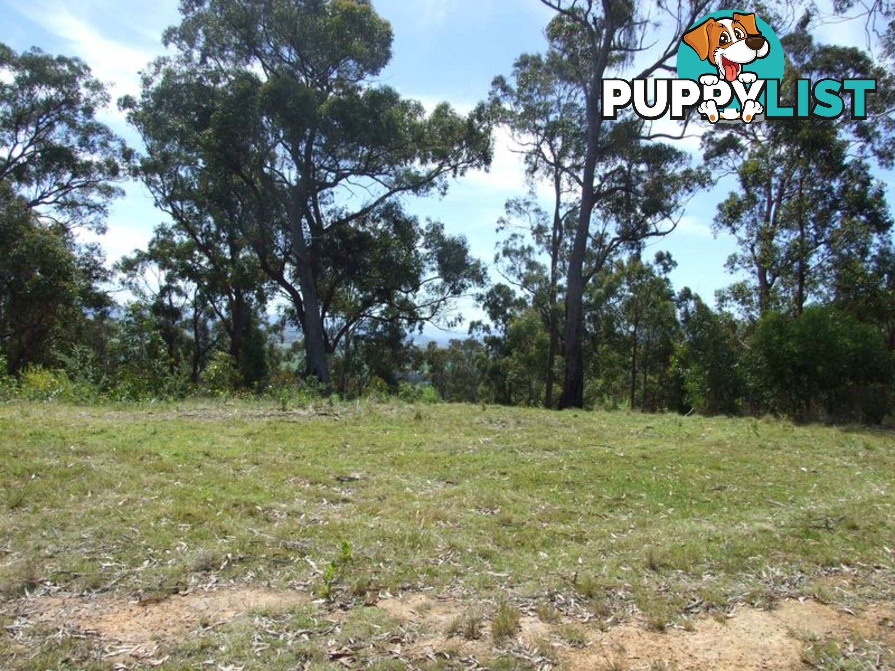 Lot 150 Dr George Mountain Road TARRAGANDA NSW 2550