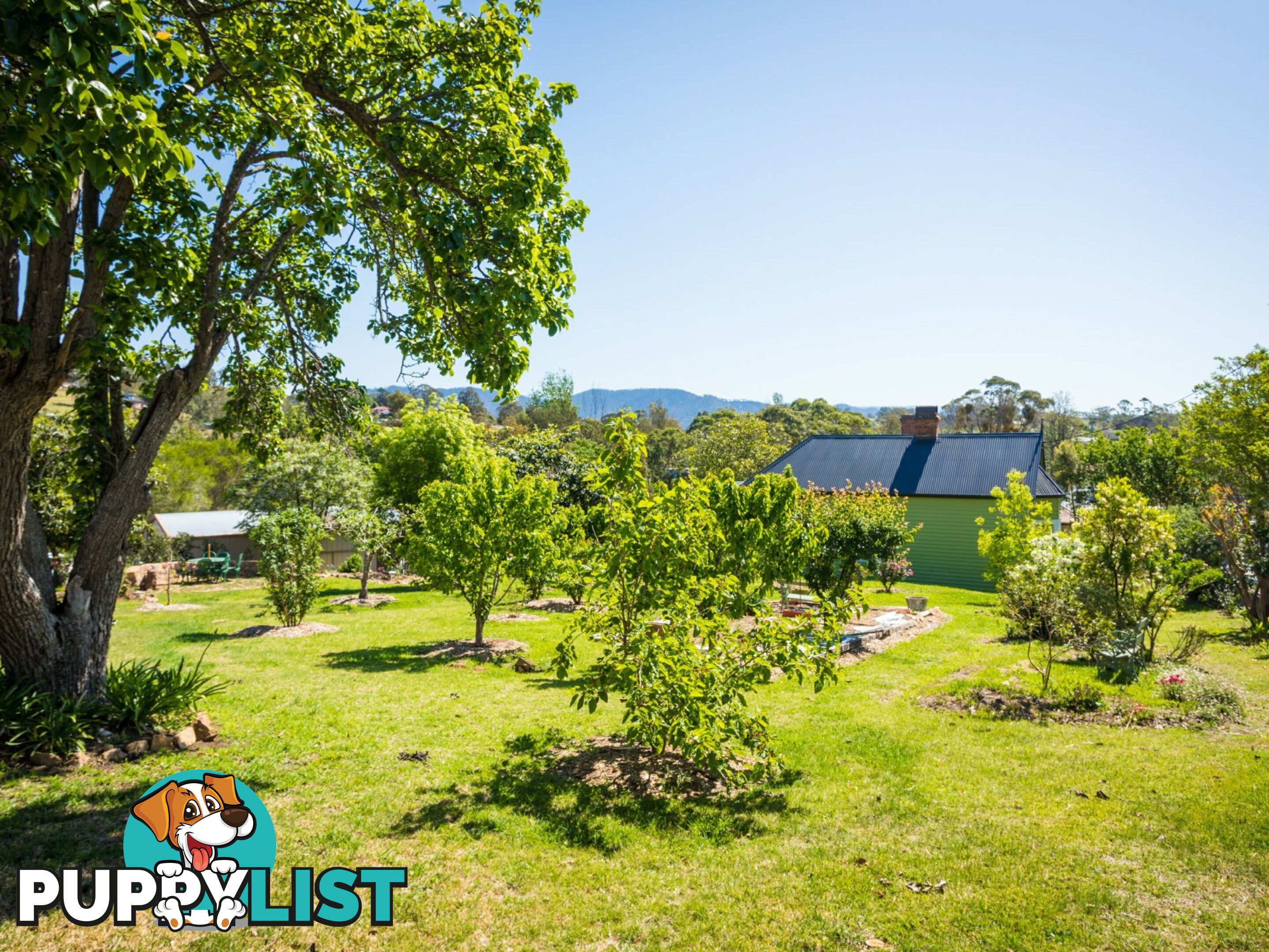 19 Cobargo Bermagui Road COBARGO NSW 2550