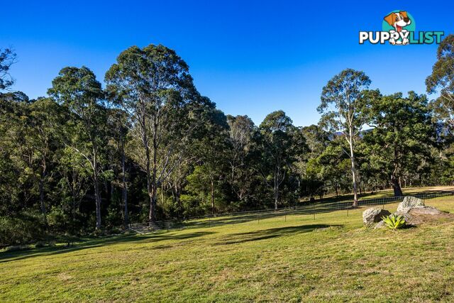 142 Eagles Nest Road BROGO NSW 2550
