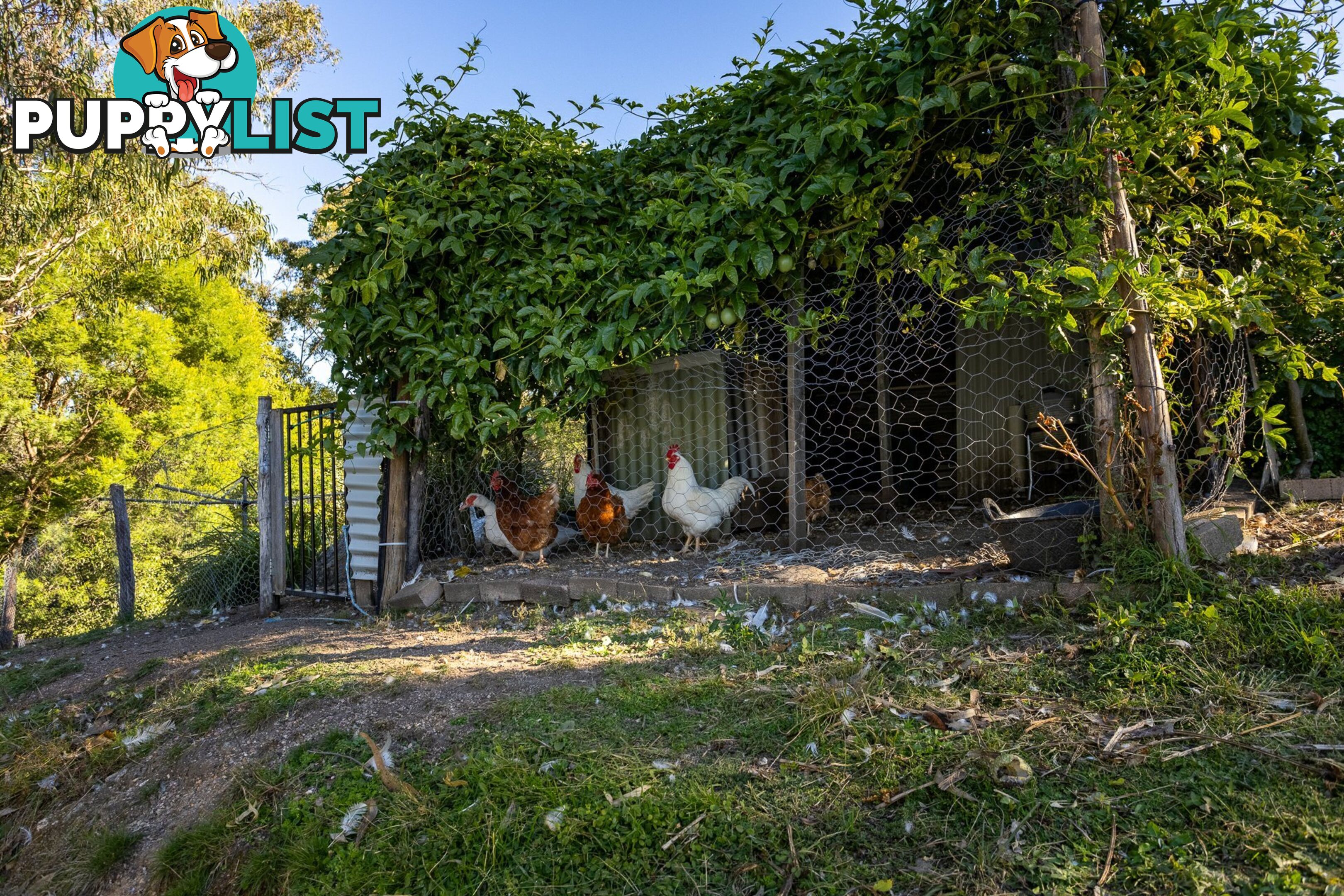 142 Eagles Nest Road BROGO NSW 2550