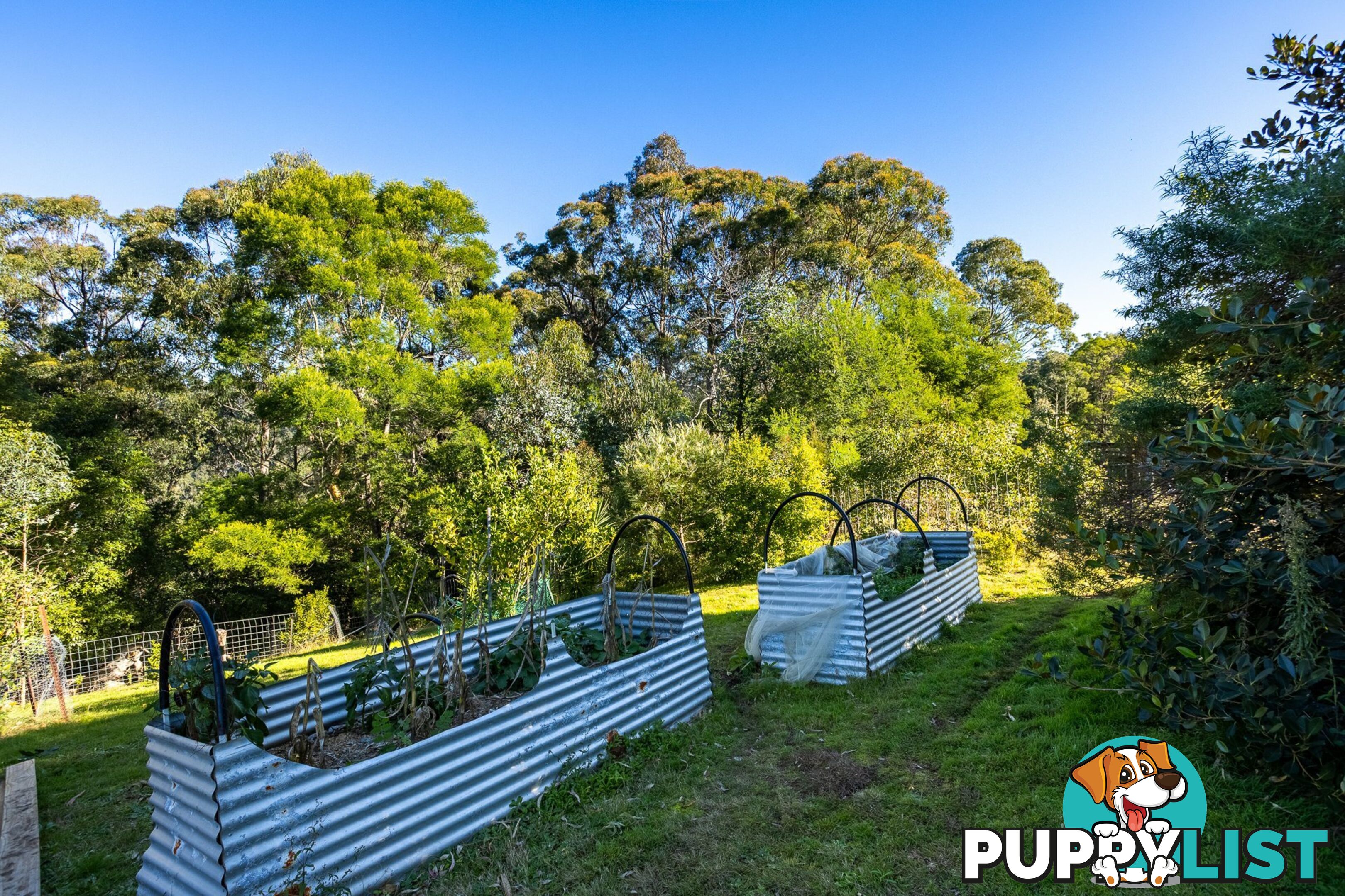 142 Eagles Nest Road BROGO NSW 2550