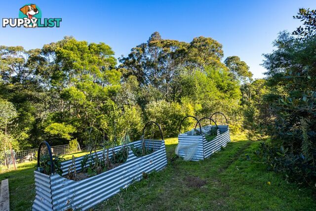142 Eagles Nest Road BROGO NSW 2550