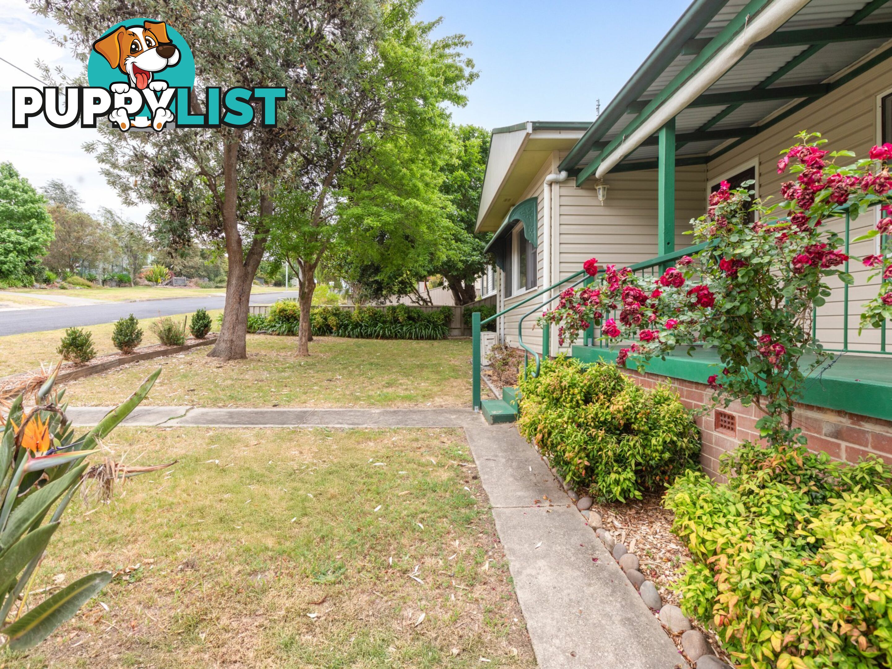 26 Gordon Street BEGA NSW 2550