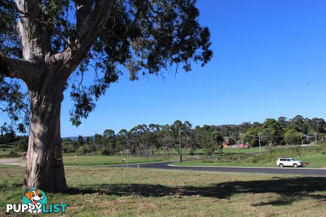 Lot 7 Lynjohn Drive BEGA NSW 2550