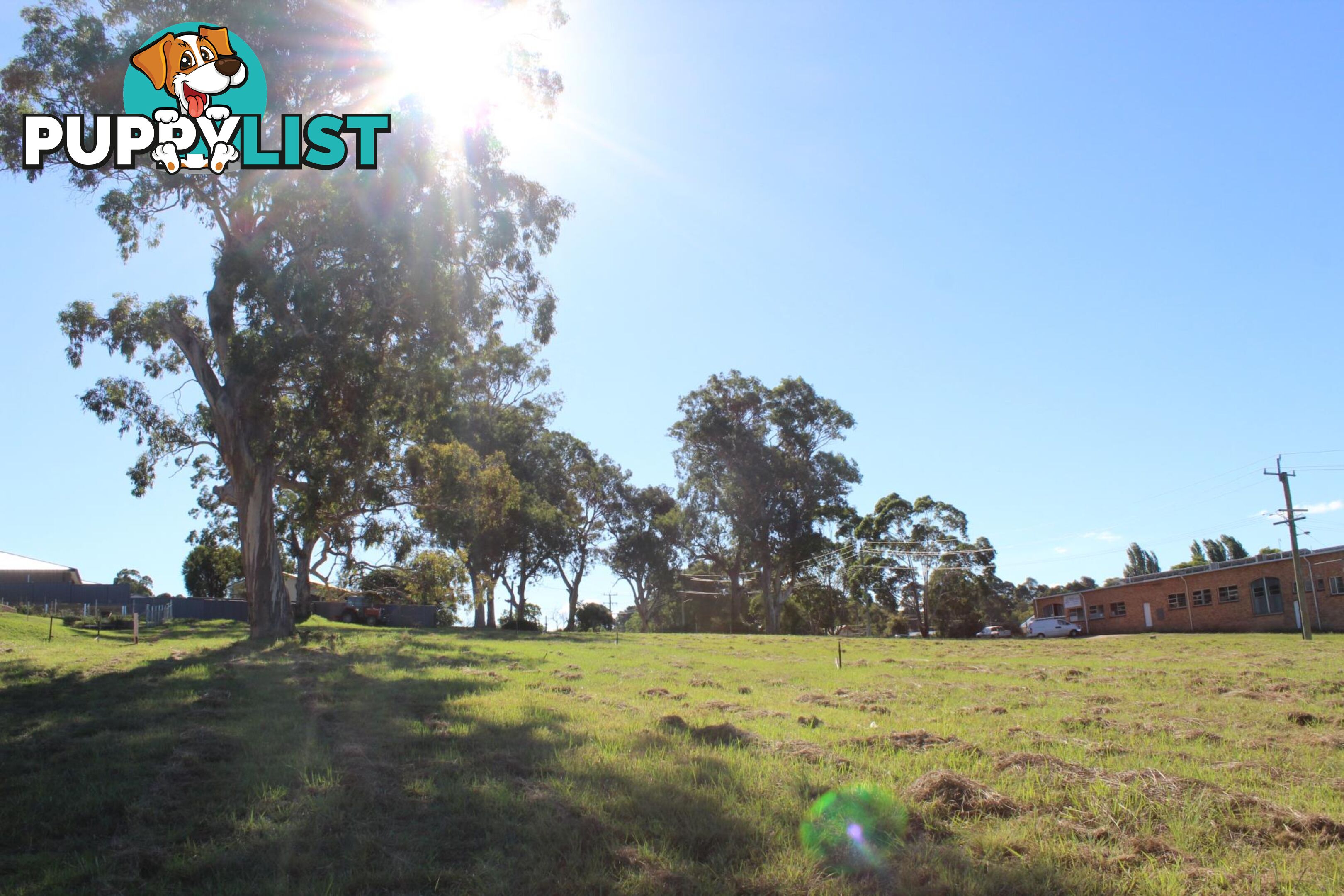 Lot 7 Lynjohn Drive BEGA NSW 2550