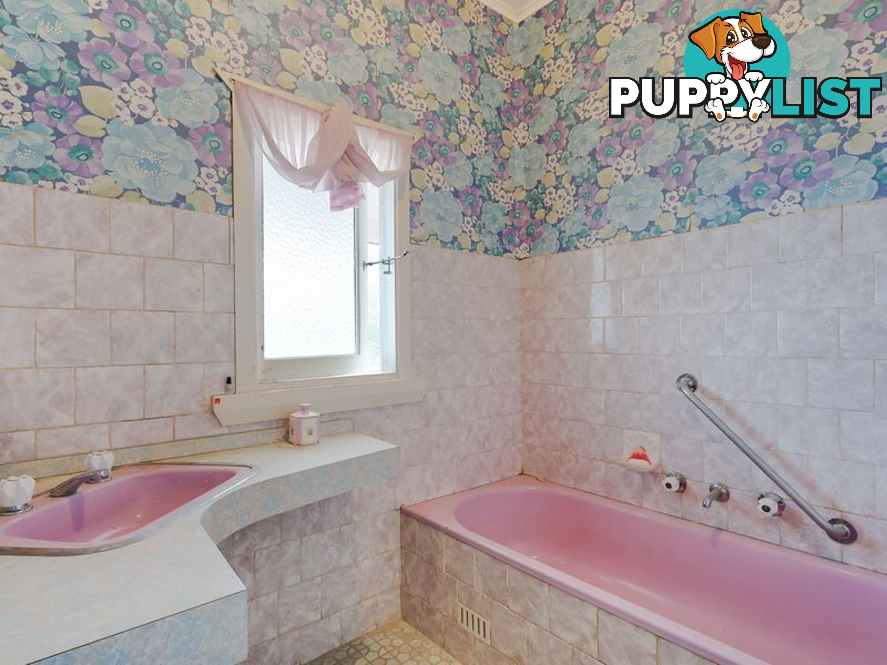 79 Parker Street BEGA NSW 2550