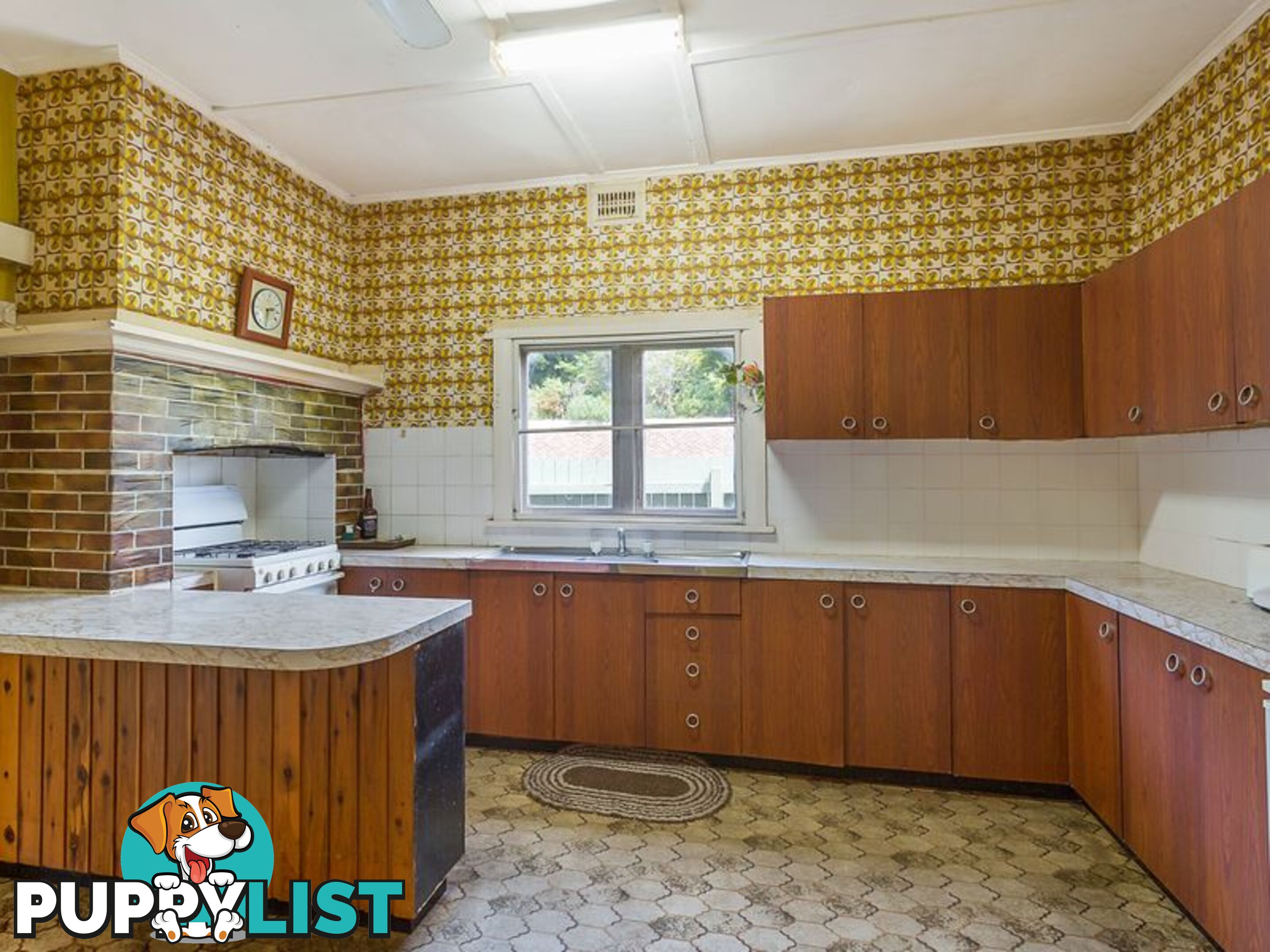 79 Parker Street BEGA NSW 2550