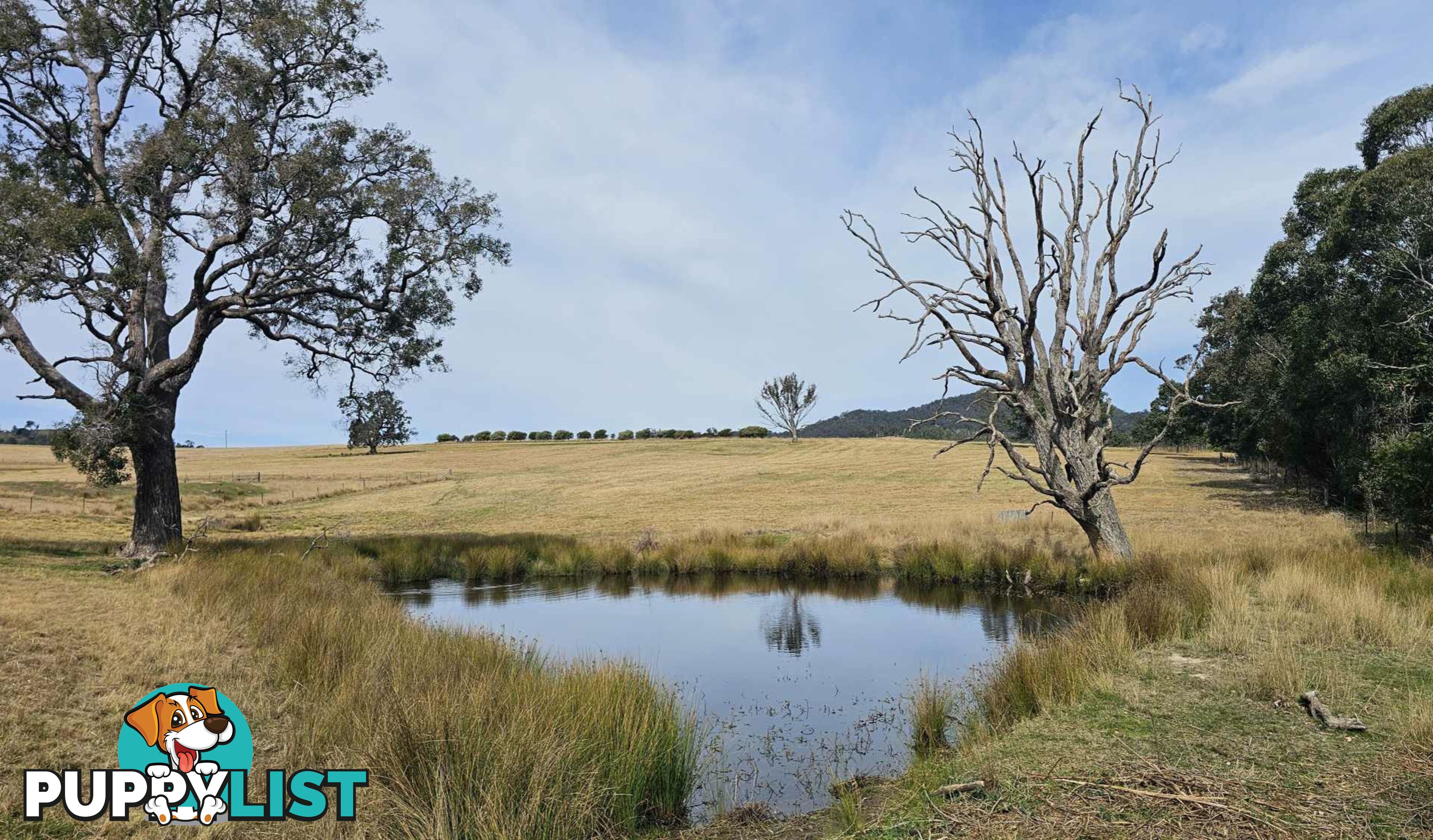 Lot 13 DP1102840 Slaters Lane CANDELO NSW 2550