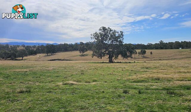 Lot 13 DP1102840 Slaters Lane CANDELO NSW 2550