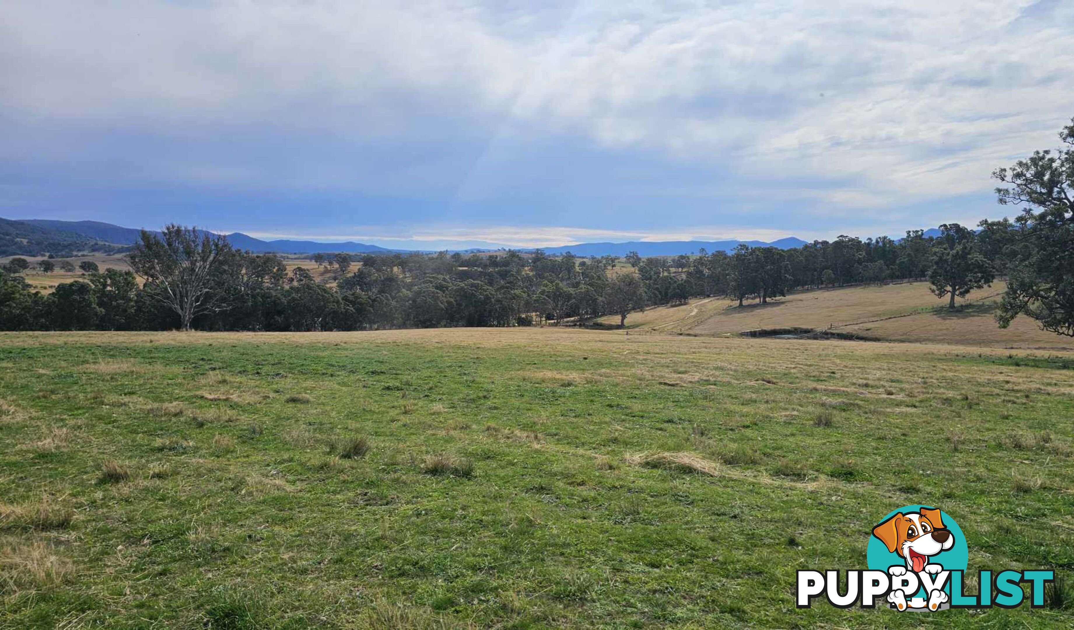 Lot 13 DP1102840 Slaters Lane CANDELO NSW 2550