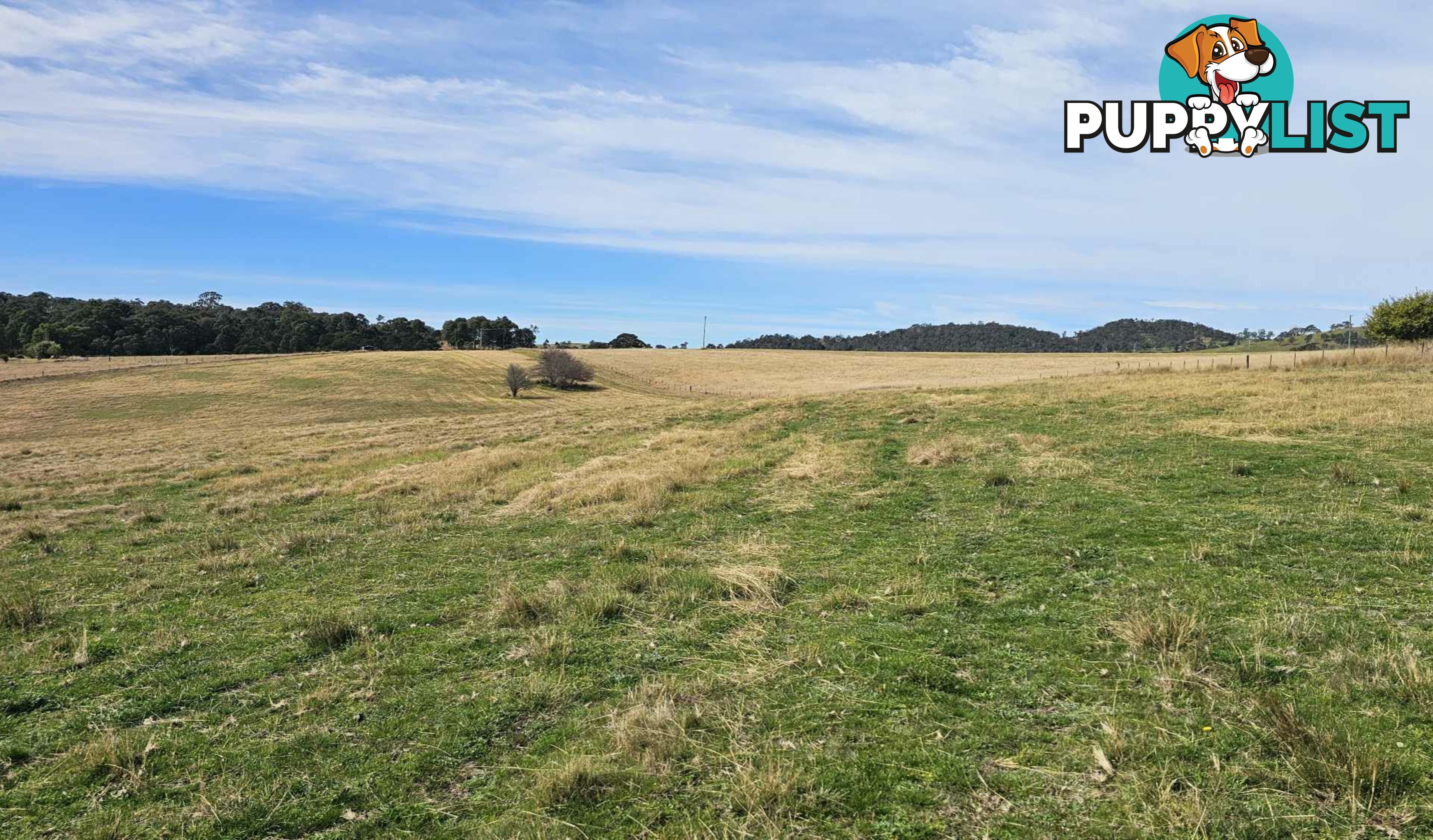 Lot 13 DP1102840 Slaters Lane CANDELO NSW 2550