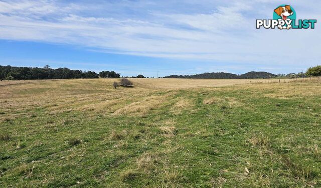 Lot 13 DP1102840 Slaters Lane CANDELO NSW 2550