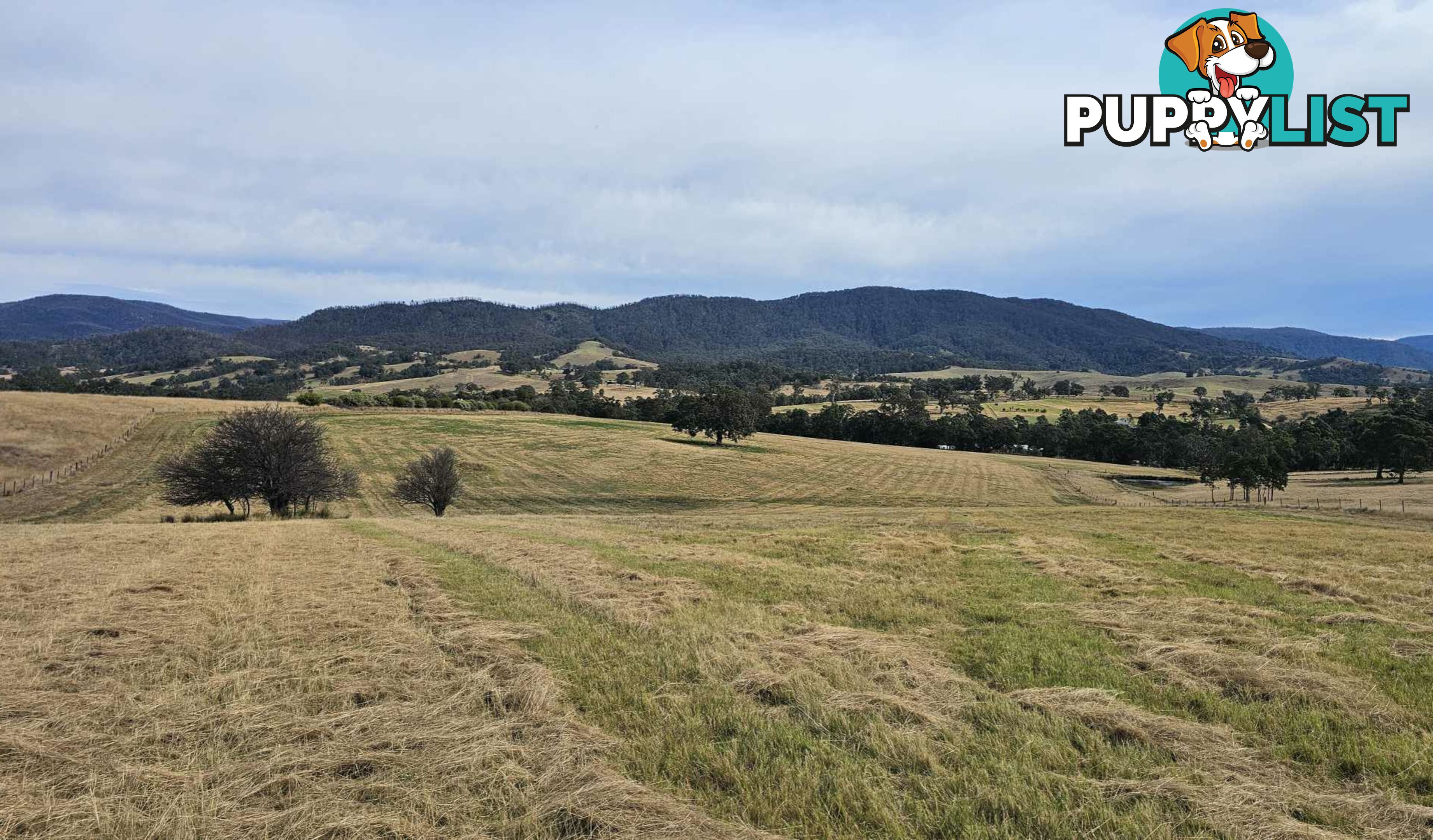 Lot 13 DP1102840 Slaters Lane CANDELO NSW 2550